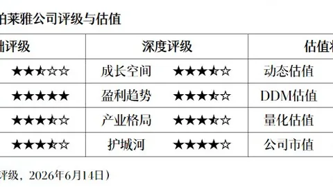 电竞战队新阵容，版本适配表现佳
