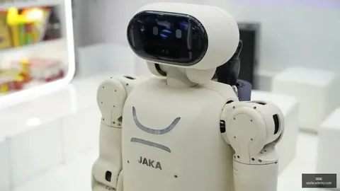英超挑战大博鱼平台app：维尔茨恐难胜任，与伊萨克搭档风险高
